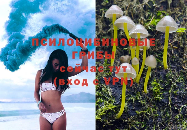 гашишное масло Каменногорск