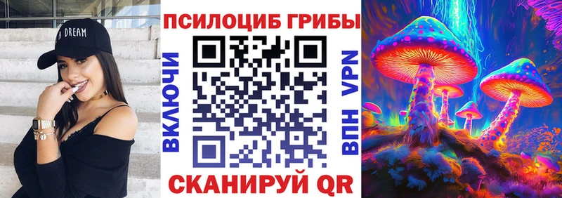 Купить где  Дорогобуж  Псилоцибиновые грибы Psilocybe 